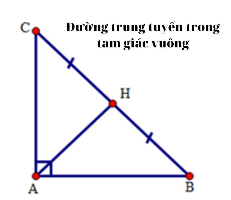 Đường trung tuyến trong tam giác vuông